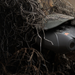 Night Vision Gear Guide: Nightfox Vision for Night Hunting & Tracking