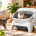 Meowant MW SC10 Review: Compact & Affordable Automatic Litter Box