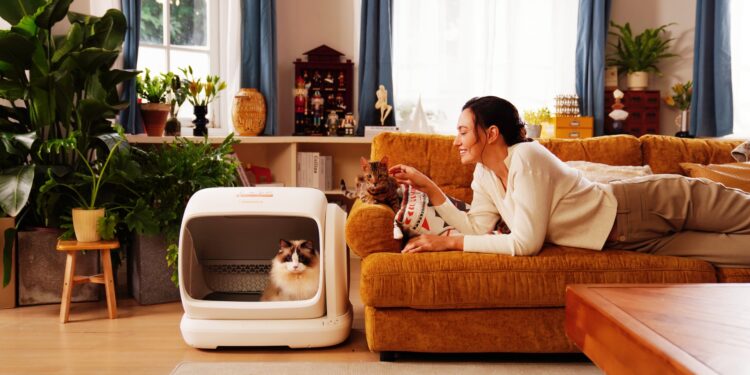 Meowant Self Cleaning Cat Litter Box Review: SC09 vs SC10 Guide