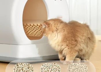 Meowant MW SC01 Review: Is This Best-Selling Automatic Litter Box Worth It?V