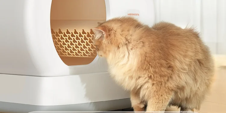 Meowant MW SC01 Review: Is This Best-Selling Automatic Litter Box Worth It?V